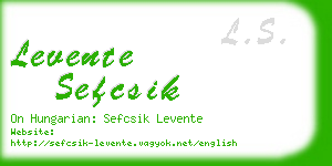 levente sefcsik business card